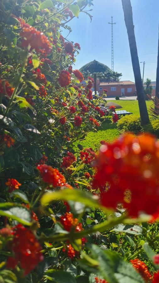 Willa Hollidays Dreams Póvoa de Varzim Zewnętrze zdjęcie